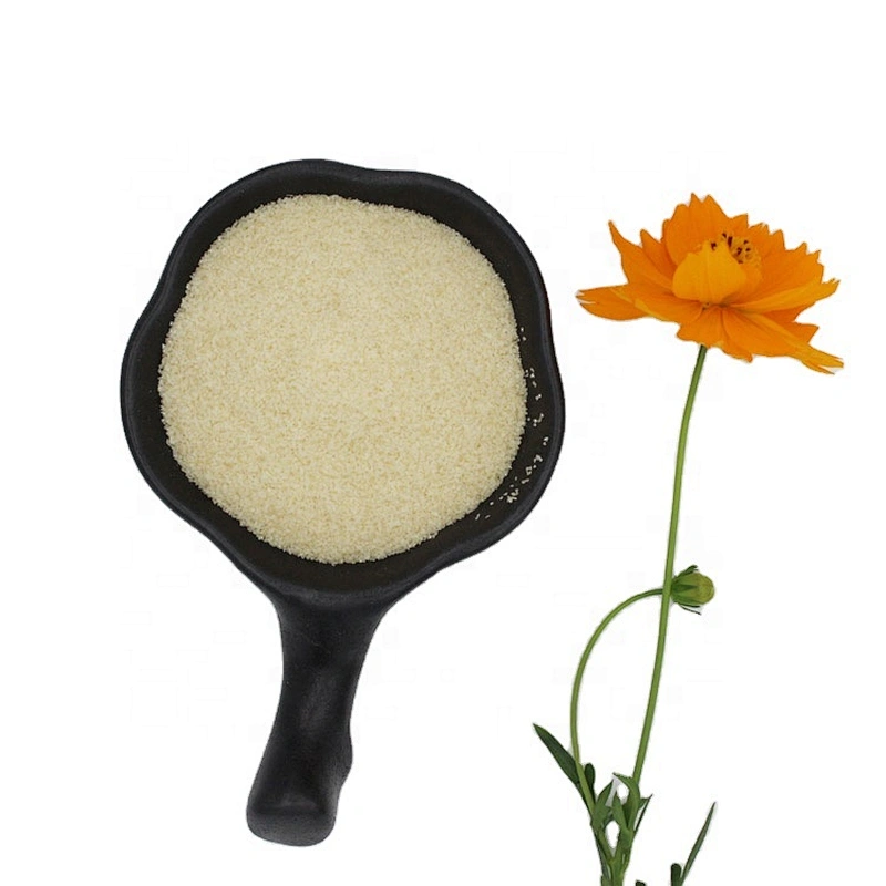 Unflavored edible gelatin 80Bloom - 280 Bloom for ice cream